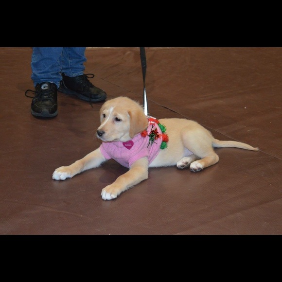 Meet your Posher, Megan - Picture 8 of 8